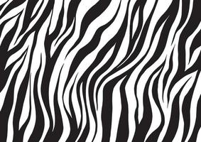 Zebra Fur Texture Background vector