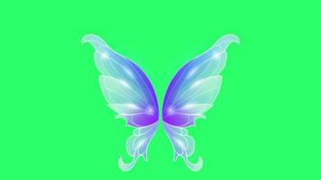 Cartoon Butterfly Stock Video Footage for Free Download