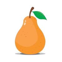 Ripe pear illustration on white background vector