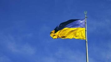Ukraine flag waving in the wind. Seamless loop with highly detailed fabric texture against blue sky.