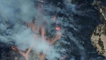 feu sauvage brûlant dans les tourbières d'enfouissement video