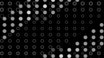 White Dots Absolvent Motion Graphic Stock Video kostenloser Download