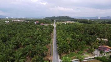Aerial view rural asphalt road with less car traffic at oil palm estate video