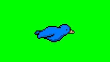 animação de pixel de pássaro azul na tela verde