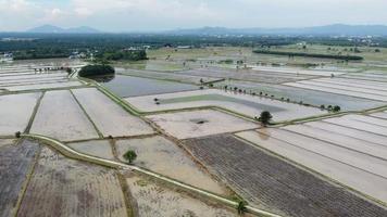 tiro de drone de tratores trabalham em arrozais video