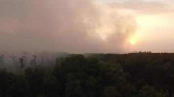 luchtfoto oplopend en bekijk het mangrovebos in mistige avondzonsondergang video