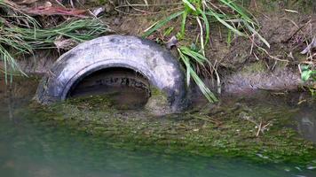 Garbage old tire is thrown at river. video