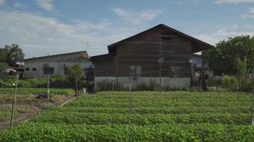 panning uitzicht op groenteboerderij met oud houten huis video
