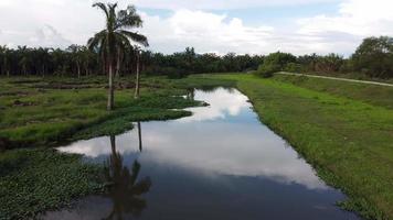 beweeg over reflectie op lucht bij rivier video