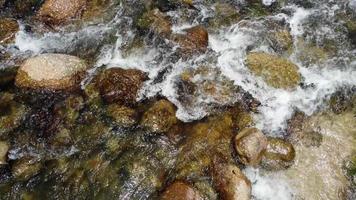 Blick von oben auf den Wasserstrom fließt über Felsen am Fluss des Regenwaldes video