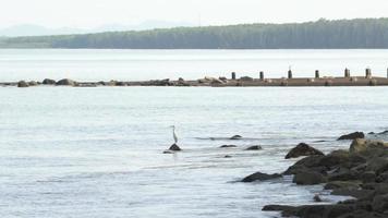 mouvement lent de l'eau de mer. video