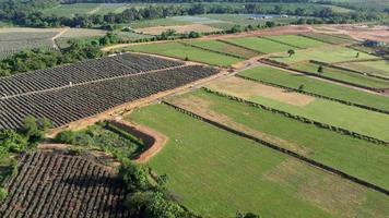 luchtfoto groene plantage op het platteland video