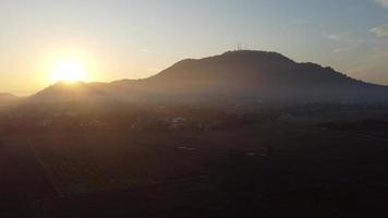 vista de drones hermosa mañana de amanecer sobre arrozal seco video