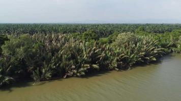 vista aérea pantanal do rio krian video