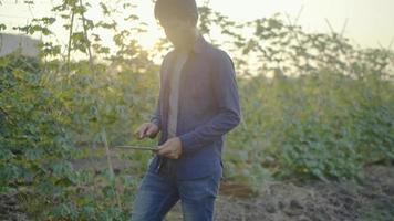 camara lenta. hombres jardineros usando jeans estoy caminando e inspeccionando plantas en el jardín, sosteniendo una tableta, revisando pedidos para el estándar de productos. en la mañana de todos los días video