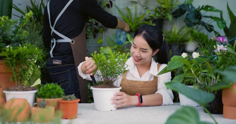 噴灑影片