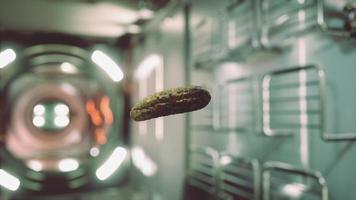pepino en escabeche marinado flotando en la estación espacial internacional video