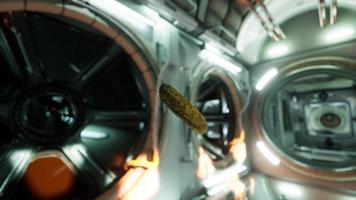 pepino en escabeche marinado flotando en la estación espacial internacional video
