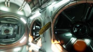 marinated pickled cucumber floating in internation space station video