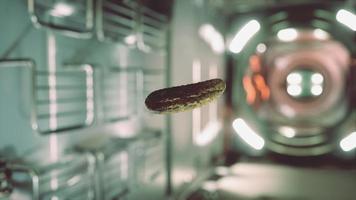 pepino en escabeche marinado flotando en la estación espacial internacional video