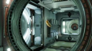 pepino marinado flutuando na estação espacial internacional video