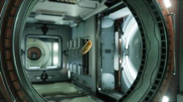 marinated pickled cucumber floating in internation space station video