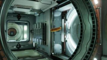 marinated pickled cucumber floating in internation space station video