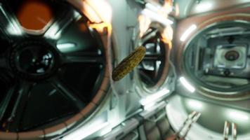 marinated pickled cucumber floating in internation space station video