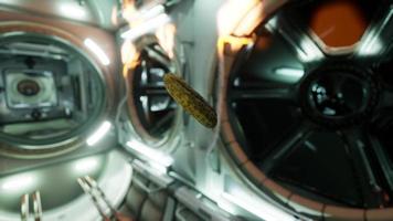 gemarineerde ingelegde komkommer drijvend in het internationale ruimtestation video