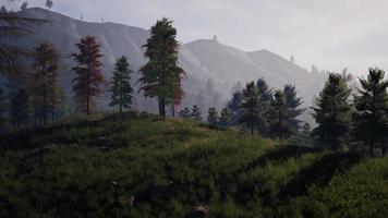 Alpes suíços com prado alpino verde em uma encosta e cercado por florestas de pinheiros