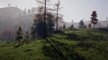 prachtige bergen landschap in de Karpaten video