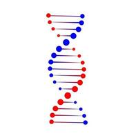 DNA structure icon. vector