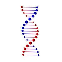 DNA structure icon. vector