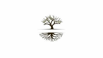 metraggio del logo di animazione della radice dell'albero. video