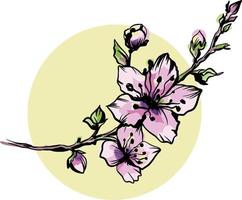 blooming sakura branch against the backdrop of the sun doodle vector