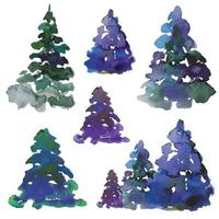 set of coniferous trees, pines, firs, cedar, fir, watercolor illustration vector