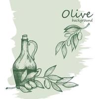 boceto con rama de olivo vector