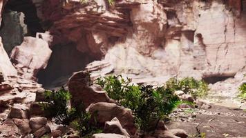 Cave in an extinct volcano on the island video