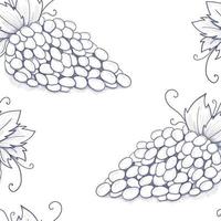Sketch bunch of grapes vector
