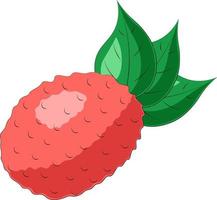 Drawn single fruit lychee and leaf in color vector