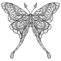 Butterfly hand drawn for adult coloring book vector