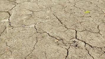 una tierra muerta desolada no apta para el cultivo de plantas video