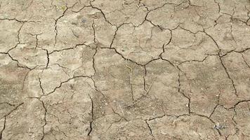 Dry cracked soil on a hot day video