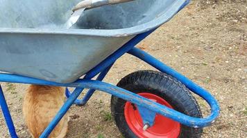 Gardening tools for a gardener, a cart for transportation