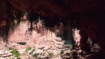 vista de dentro de uma caverna escura com plantas verdes e luz na saída video