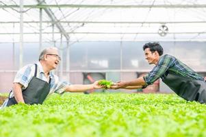 Happy Asian man and senior man in hydroponic farm photo