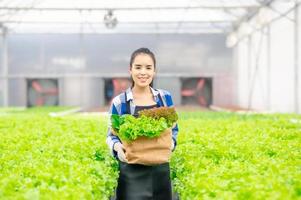 fresh green vegetables in hydroponics farm photo