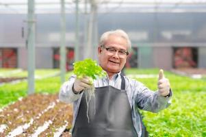 senior Asian man n greenhouse hydroponic farm photo