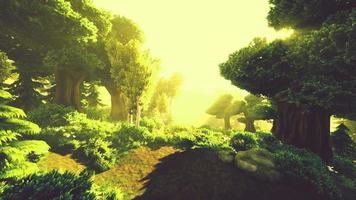 alberi forestali boscosi dei cartoni animati retroilluminati dalla luce solare dorata video
