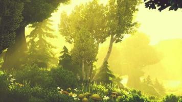 desenho animado floresta verde florida no pôr do sol video